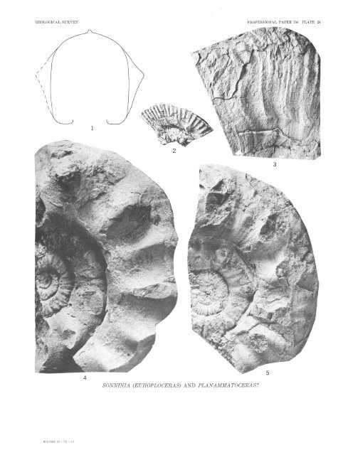 Middle Jurassic (Bajocian) Eastern Oregon