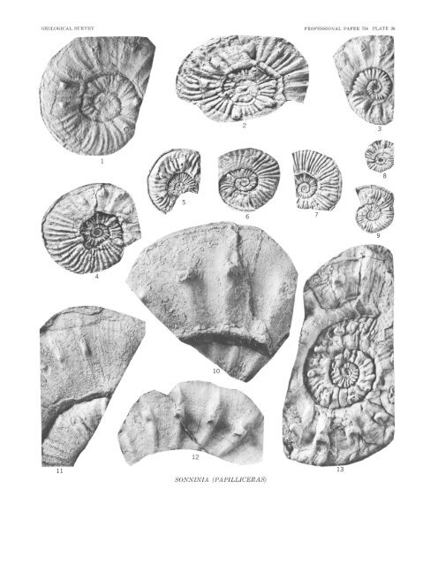 Middle Jurassic (Bajocian) Eastern Oregon