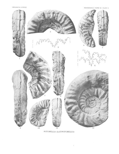 Middle Jurassic (Bajocian) Eastern Oregon