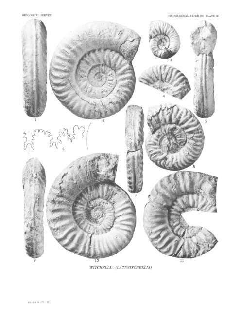 Middle Jurassic (Bajocian) Eastern Oregon