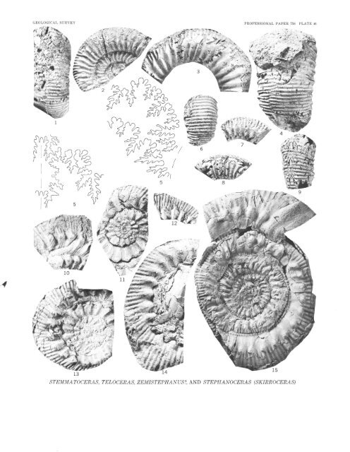 Middle Jurassic (Bajocian) Eastern Oregon