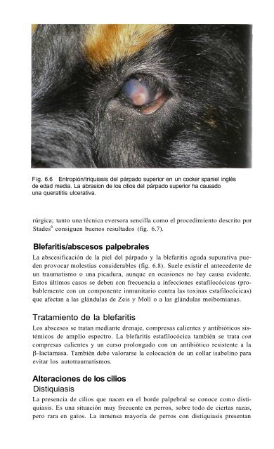 591 2671Oftalmologia.. - Facultad de Ciencias Veterinarias - UAGRM