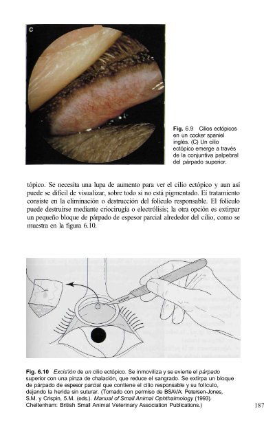 591 2671Oftalmologia.. - Facultad de Ciencias Veterinarias - UAGRM