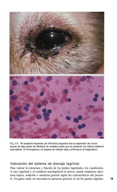 591 2671Oftalmologia.. - Facultad de Ciencias Veterinarias - UAGRM