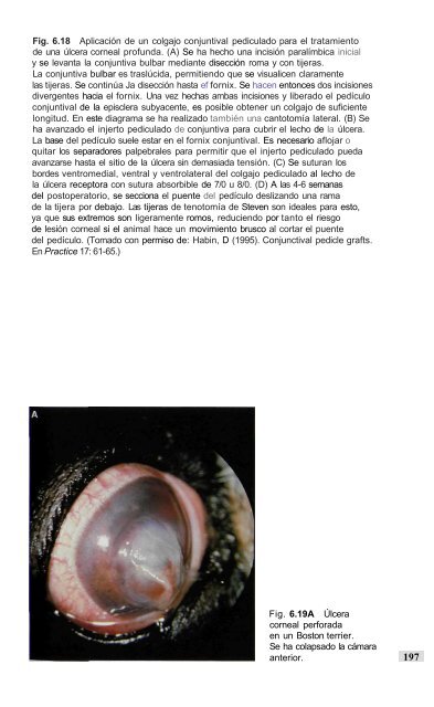 591 2671Oftalmologia.. - Facultad de Ciencias Veterinarias - UAGRM