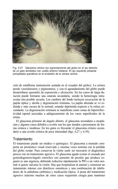 591 2671Oftalmologia.. - Facultad de Ciencias Veterinarias - UAGRM