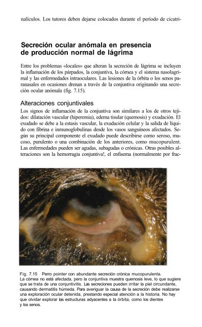 591 2671Oftalmologia.. - Facultad de Ciencias Veterinarias - UAGRM