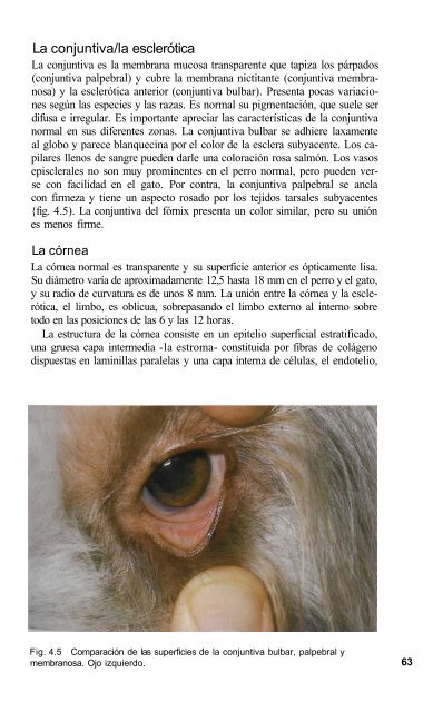 591 2671Oftalmologia.. - Facultad de Ciencias Veterinarias - UAGRM