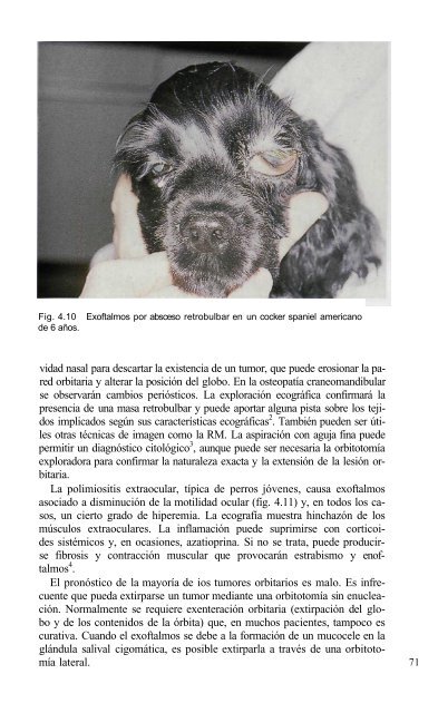 591 2671Oftalmologia.. - Facultad de Ciencias Veterinarias - UAGRM