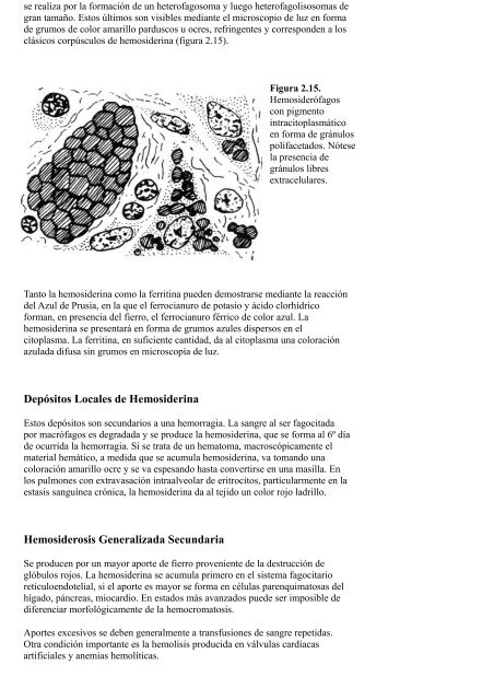 FOTOSÍNTESIS HUMANA - Descubrimiento Milagroso ...