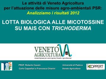 Lotta biologica alle micotossine su mais con Trichoderma - Veneto ...