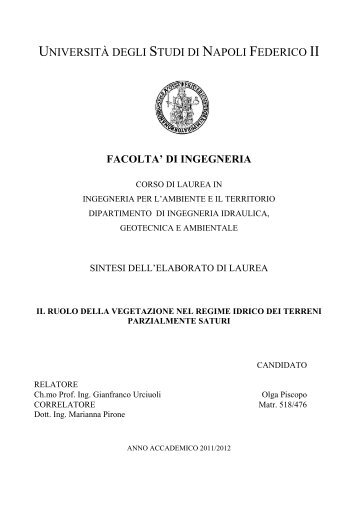 Sintesi della Tesi - Ingegneria per l'Ambiente ed il Territorio ...