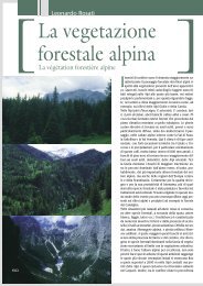 La vegetazione forestale alpina, di Leonardo Rosati