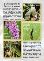 organismi vegetali terrestri - Giocanatura