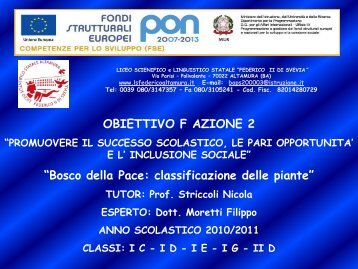 Bosco della Pace: classificazione delle piante - Liceo Scientifico ...