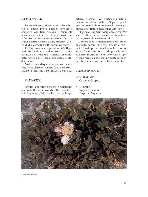 Sezione terza [file .pdf - 14 Mb] - SardegnaAmbiente