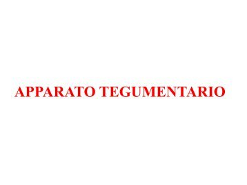 2. Apparato tegumentario.pdf