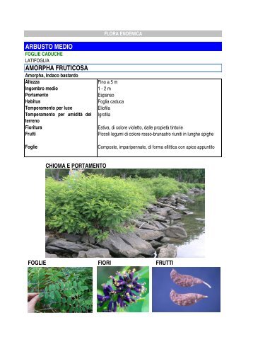 abaco arbusti A-PYRACANTHA - Comune di Bertinoro