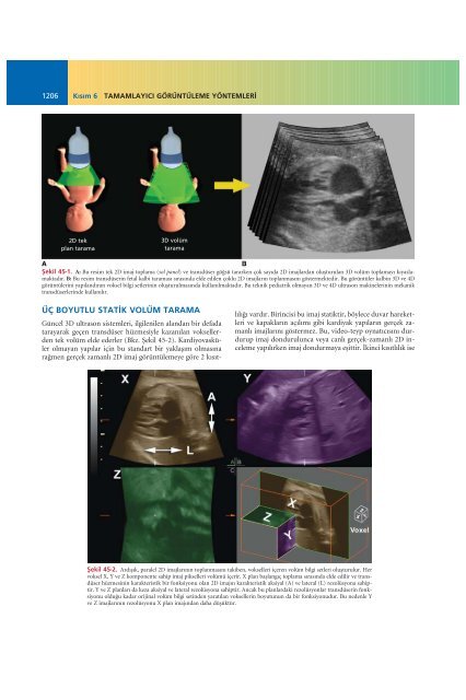 fetal ‹skelet anomal‹ler‹ - UniFlip.com