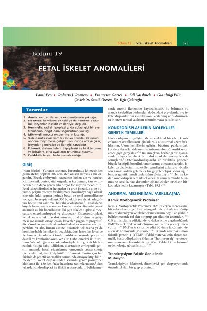 fetal ‹skelet anomal‹ler‹ - UniFlip.com