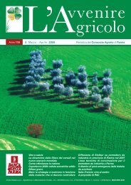 L´agricoltura di nuovo al centro dell´economia mondiale?