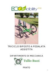 TRICICLO BIPOSTO A PEDALATA ASSISTITA - Provincia di Pistoia