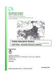 Parte Prima - Relazione geologica generale - Comune di Mantova