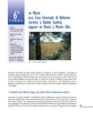 da Monti alla Casa Forestale di Bolòstiu (varianti) [file . pdf - 2,12 Mb]