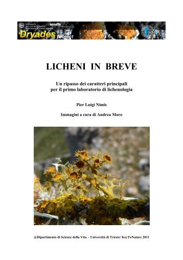 LICHENI IN BREVE - Università degli Studi di Trieste