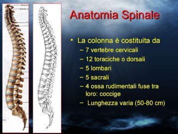 Stenosi del canale lombare - Clinicaortopedica.uniss.it