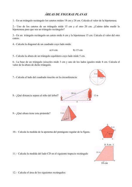 TEMA 8: ÁREAS DE FIGURAS PLANAS