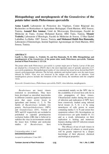 Histopathology and morphogenesis of the Granulovirus of the ... - Iresa