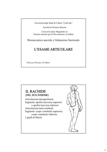Colonna vertebrale.pdf - Università degli Studi di Urbino