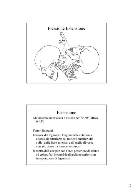 Colonna vertebrale.pdf - Università degli Studi di Urbino