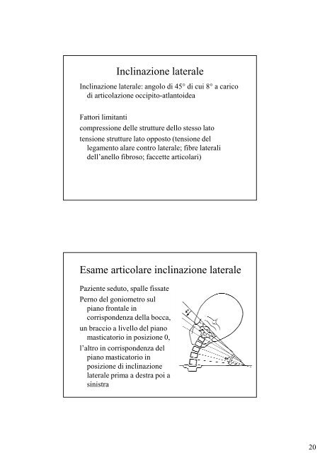 Colonna vertebrale.pdf - Università degli Studi di Urbino