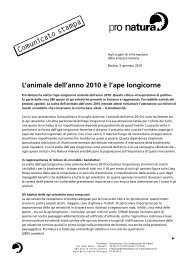 L'ape longicorne - Pro Natura Ticino
