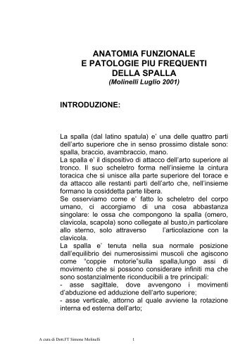 anatomia funzionale e patologie piu frequenti della spalla - FisioBrain