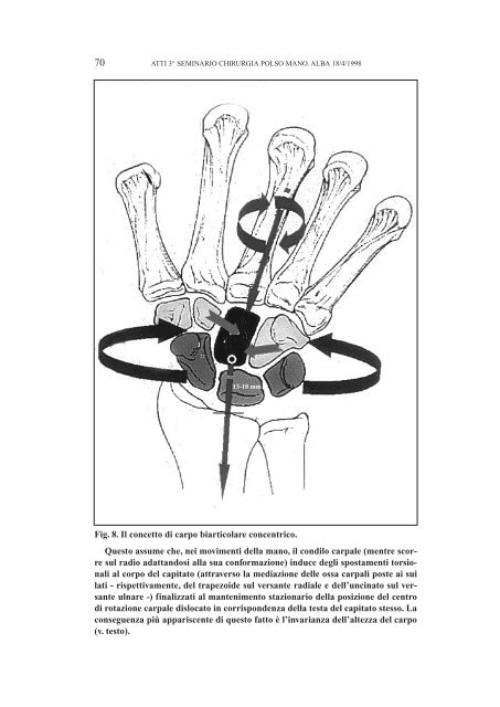 ATTI 3° SEMINARIO SULL'INSTABILITA' CARPALE (Aprile 1998)