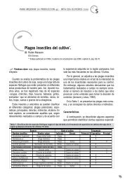 plagas-insectiles-del-cultivo.pdf - INTA