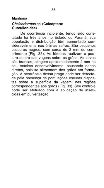 download gratuito do arquivo em pdf - Iapar