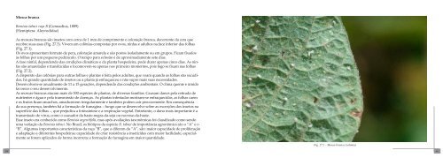 Manual de Pragas da Soja - Plantimar.com.br