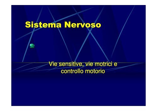 Sistema Nervoso