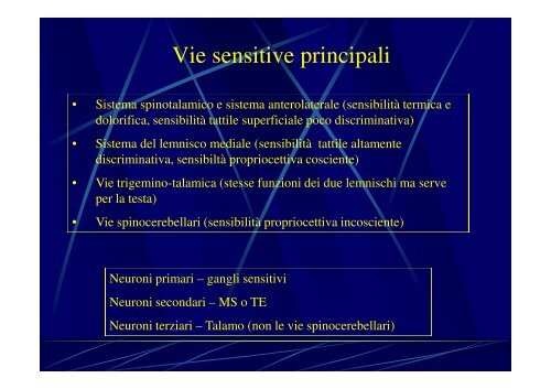 Sistema Nervoso