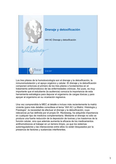 proceso de detoxificacion hepatica