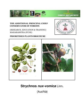 Strychnos nux-vomica Linn. - mahaforest.nic.in