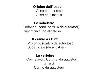 Lezioni cranio