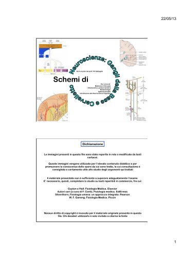 Gangli della base e cervelletto