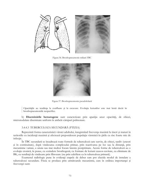 Descarca - Universitatea de Medicina si Farmacie