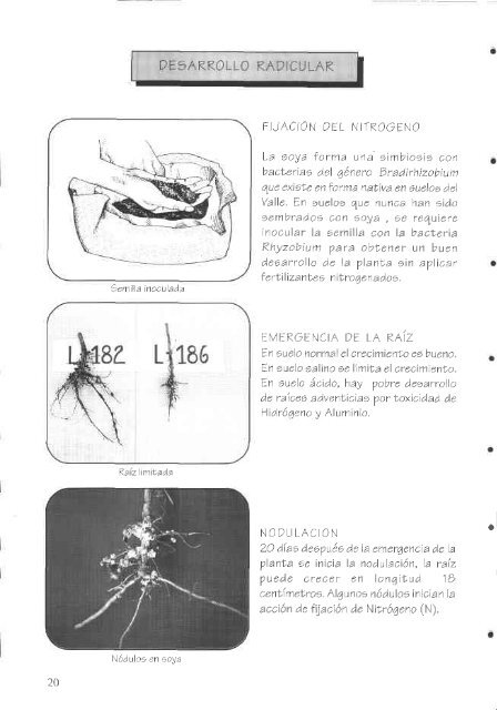 tr#ü'ffi,M/ - Corpoica