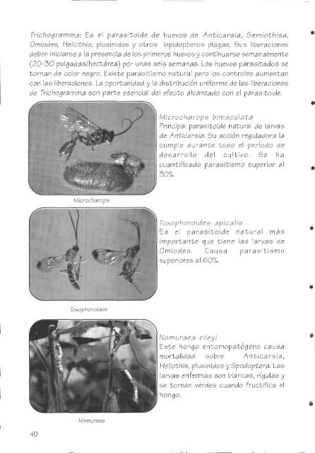 tr#ü'ffi,M/ - Corpoica